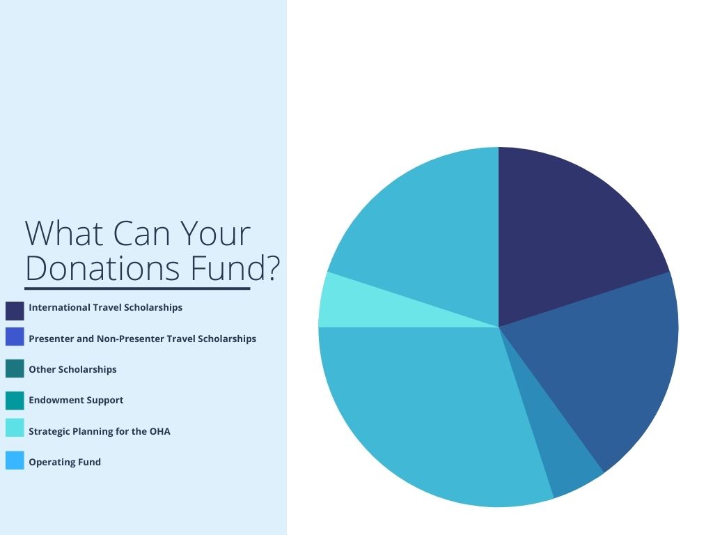 What can your donations fund? Pie Chart divided into six categories, showing that donations go toward international travel scholarships, presenter and non-presenter travel scholarships, other scholarships, endowment support, strategic planning and operating funds